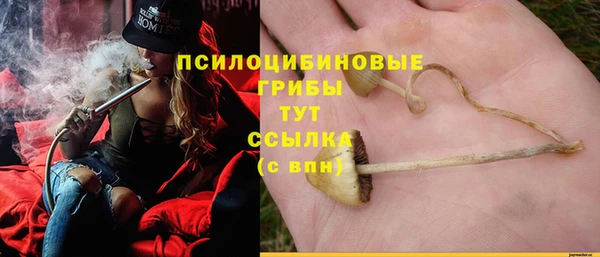 MDMA Кукмор