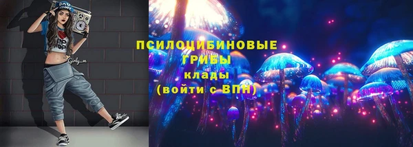 а пвп мука Куйбышев