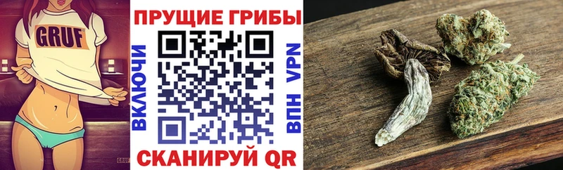 Псилоцибиновые грибы MAGIC MUSHROOMS  Купить где  Малая Вишера 